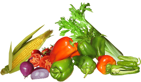 Sustainable Practices